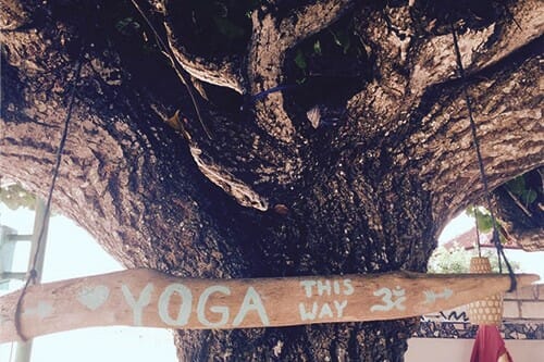 beratung für yogalehrer
